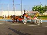 TBAL HGG Samsun 2015 047
